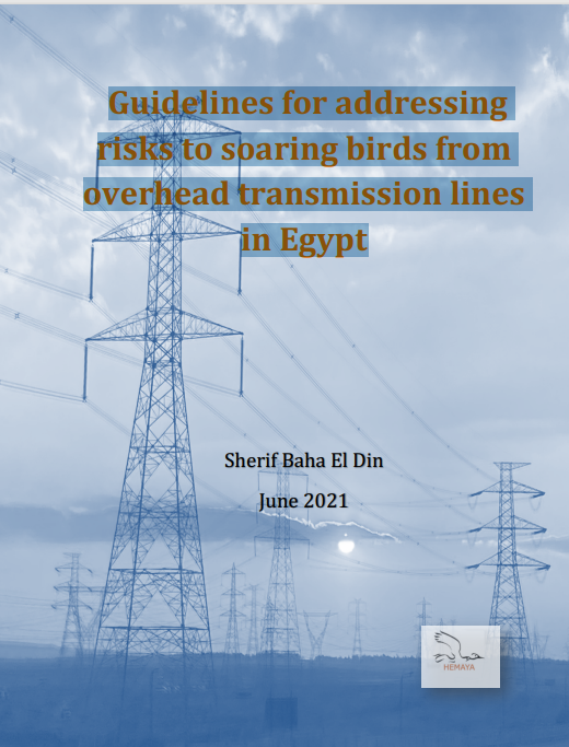 Guidelines for addressing risks to soaring birds from overhead transmission lines in Egypt