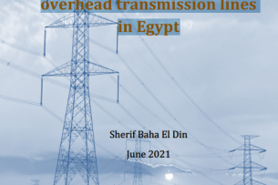 Guidelines for addressing risks to soaring birds from overhead transmission lines in Egypt